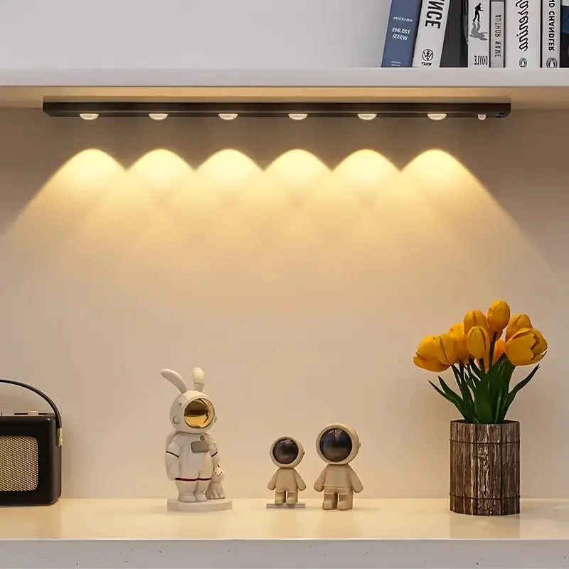 Motion Sensor Light
