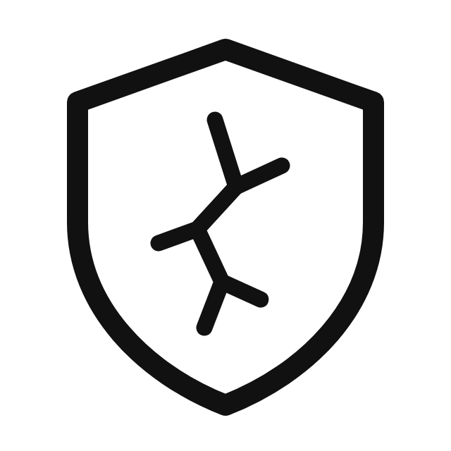 Shield with a crack inside